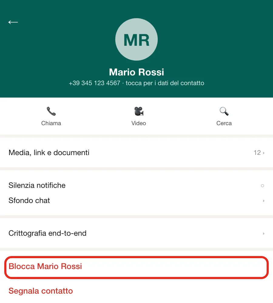 Illustrazione ricostruita del profilo di un contatto WhatsApp, con l'opzione Blocca in fondo alla scheda cerchiata in rosso
