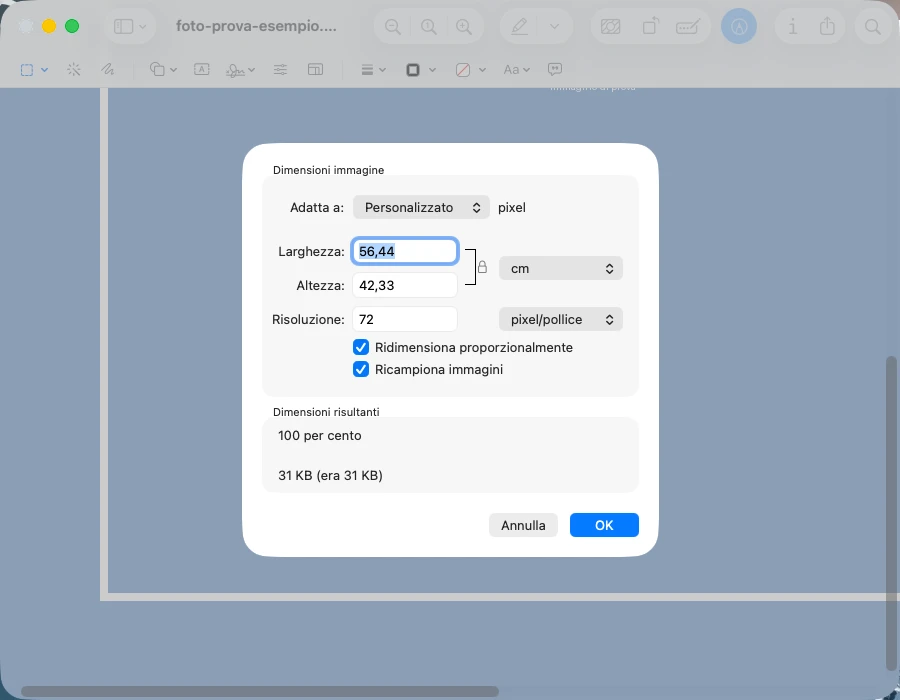 Anteprima su Mac, finestra «Dimensioni immagine» con la casella «Ricampiona immagini» spuntata e il campo Risoluzione visibile