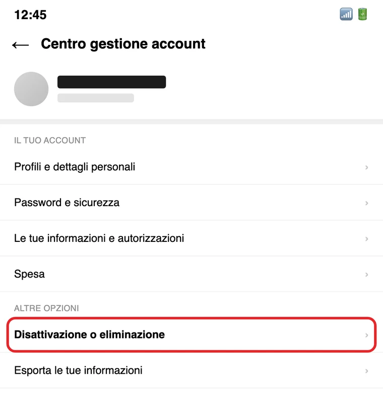 Illustrazione ricostruita: il Centro gestione account di Instagram, con la voce «Disattivazione o eliminazione» cerchiata in rosso nella sezione «Altre opzioni»