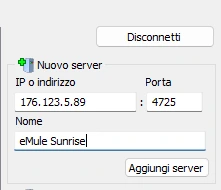 Il riquadro «Nuovo server» di eMule con l'IP, la porta e il nome compilati, pronto per «Aggiungi server»