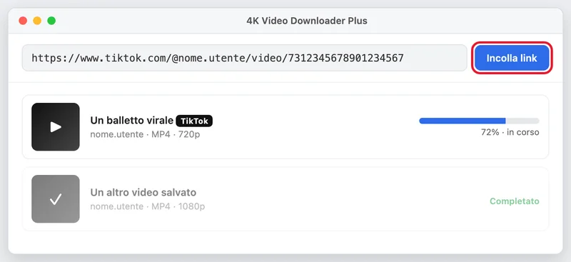 Illustrazione ricostruita della finestra di 4K Video Downloader Plus con un link TikTok incollato e un download in corso